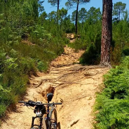 Le Parc - Climatisee